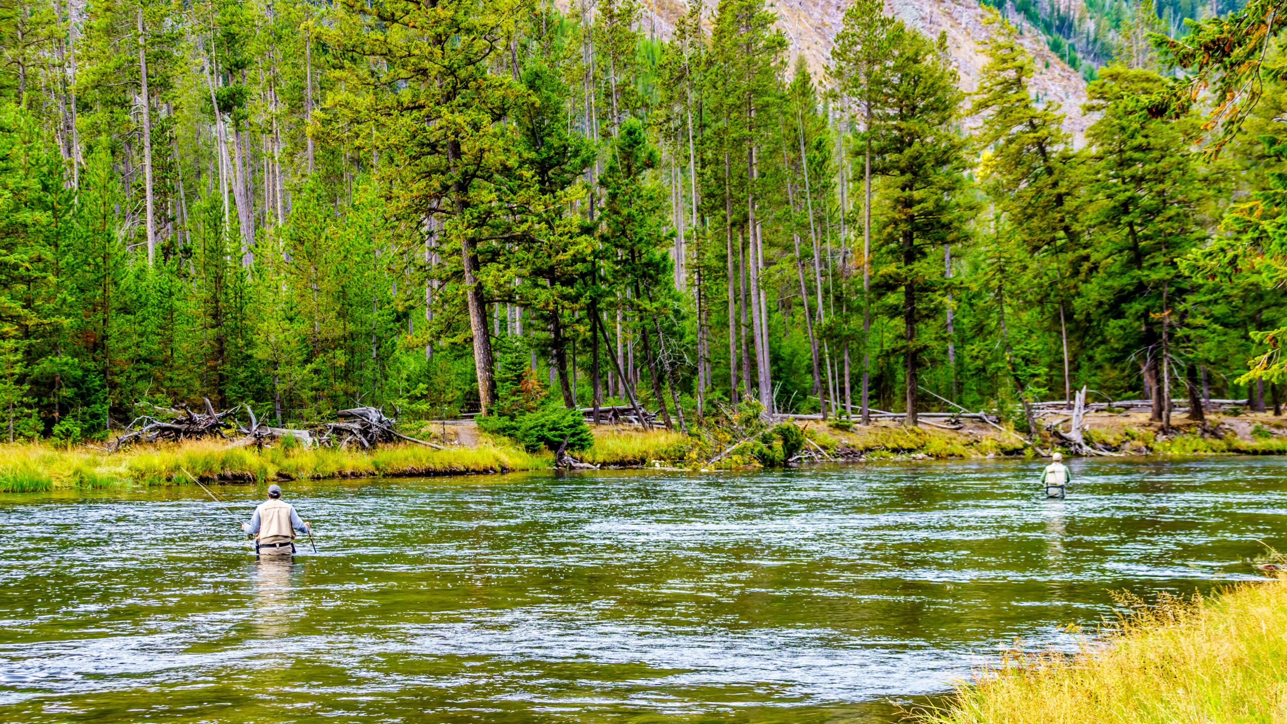 Fly fishing in the Madison River as it flows through the western