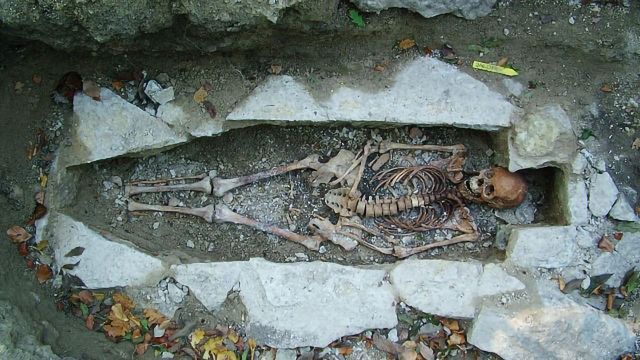 largest-ever-dna-sequencing-of-viking-skeletons-rewrites-history-340536-640x360